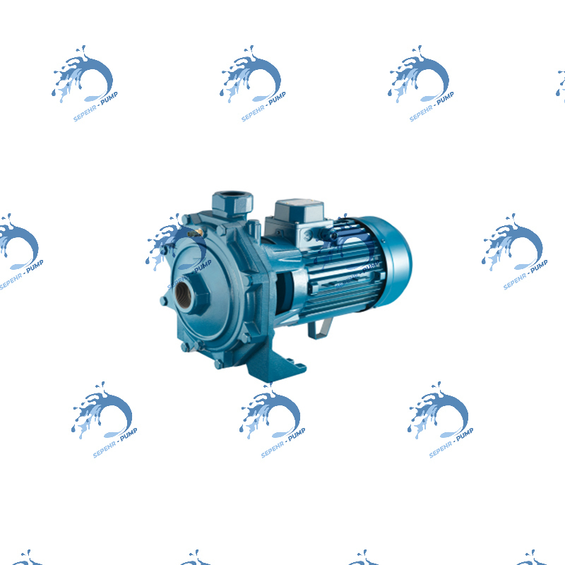  پمپ دو اسب دو پروانه پنتاکس ایرانی مدل ۰0/CB۲۱۰ 