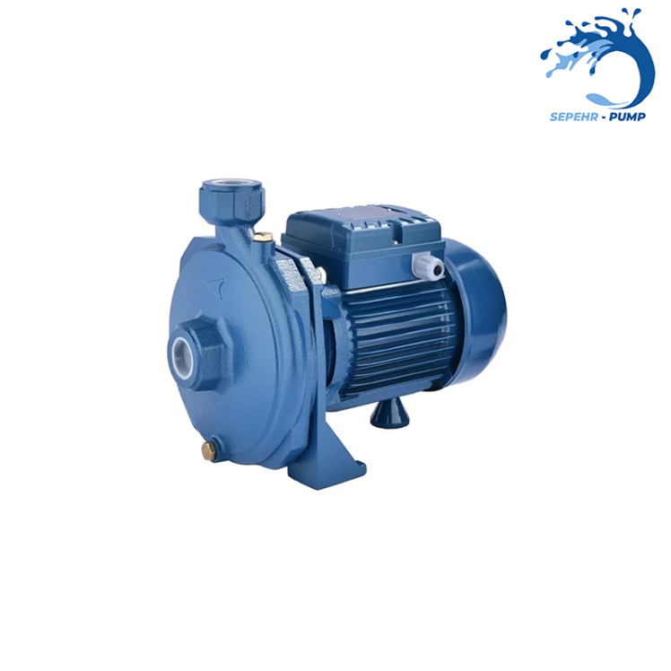 یک اسب بشقابی زاگرس